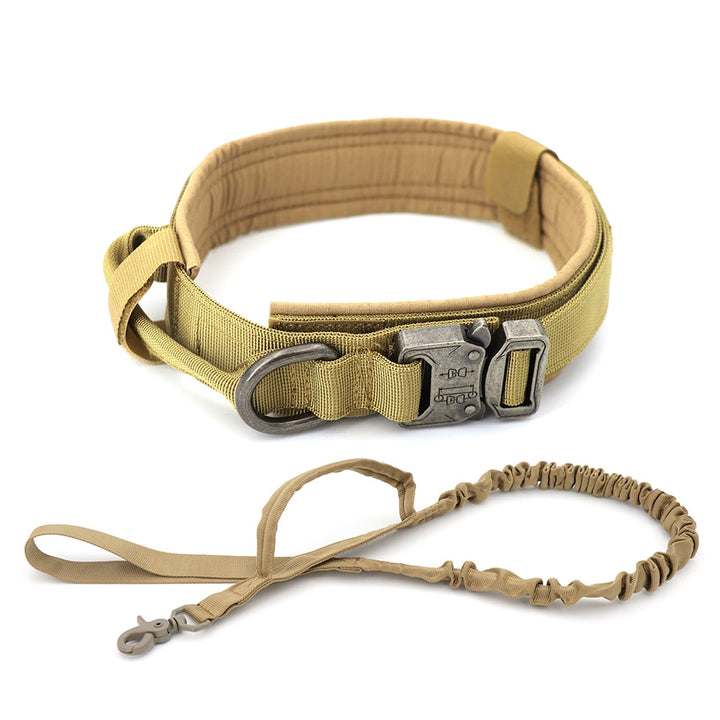 Heavy-Duty Dog Collar