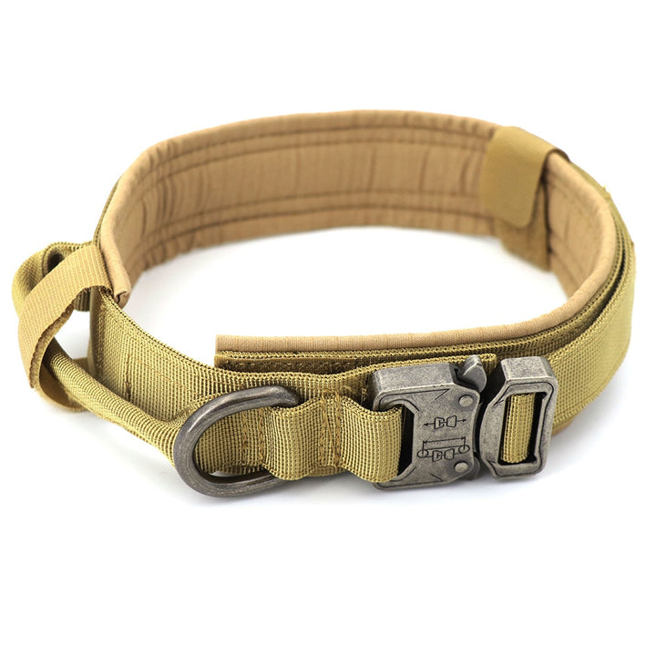 Heavy-Duty Dog Collar