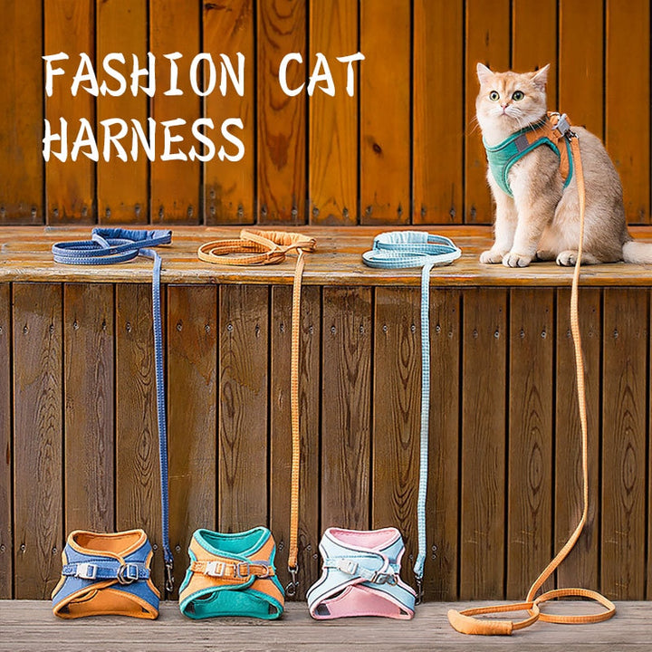 Classy Cat Harness + Leash