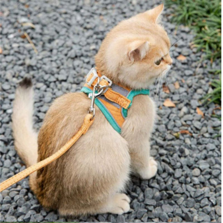 Classy Cat Harness + Leash