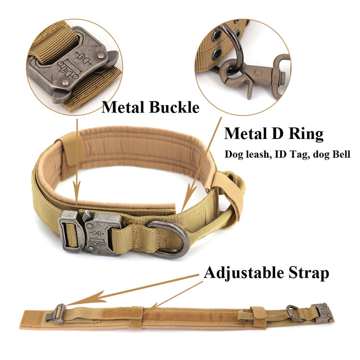 Heavy-Duty Dog Collar