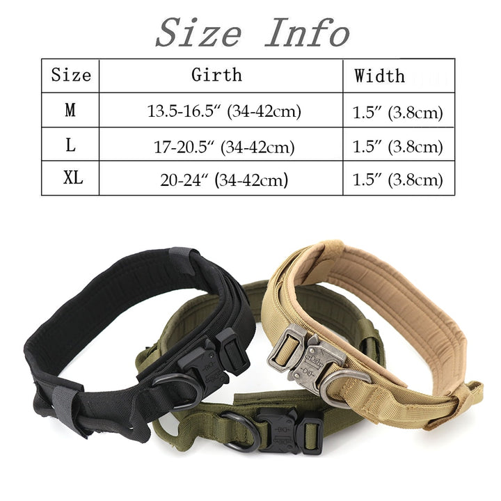 Heavy-Duty Dog Collar