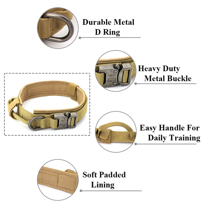 Heavy-Duty Dog Collar